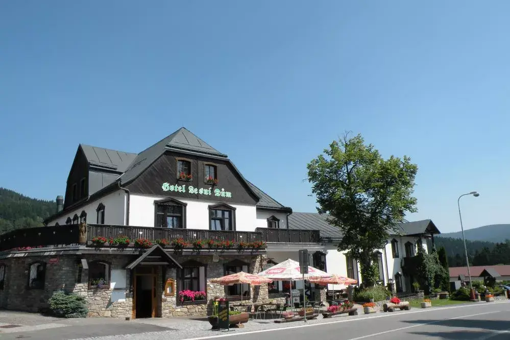 Hotel Lesní dům, Janské Lázně Janské Lázně